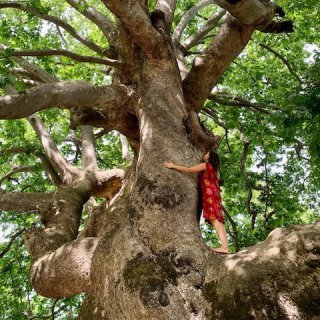 Nature Connection